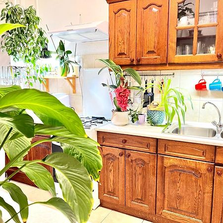 Margaret Bridge Best Spot Apartment Βουδαπέστη Εξωτερικό φωτογραφία
