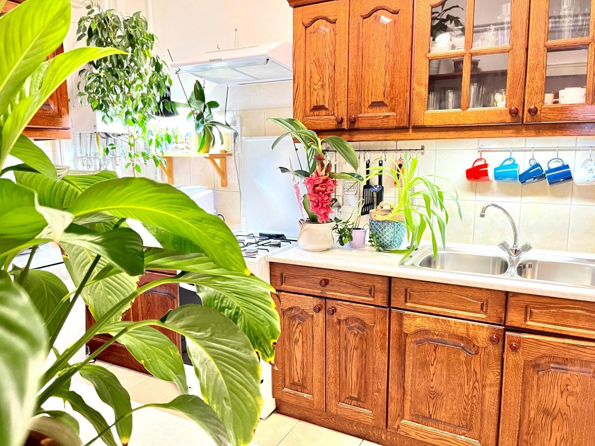 Margaret Bridge Best Spot Apartment Βουδαπέστη Εξωτερικό φωτογραφία